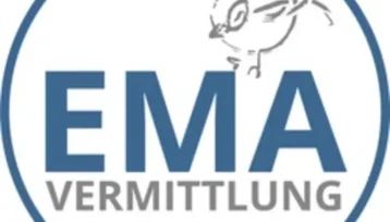 Oberarzt Gefäßchirurgie (m/w/d)